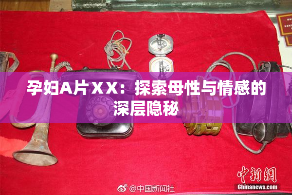 孕妇A片ⅩX：探索母性与情感的深层隐秘