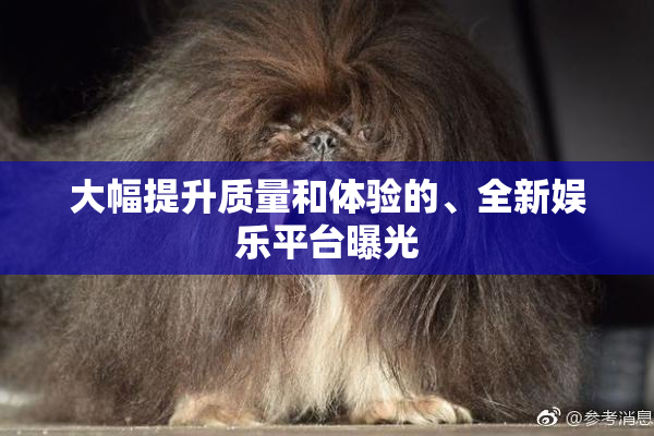 大幅提升质量和体验的、全新娱乐平台曝光
