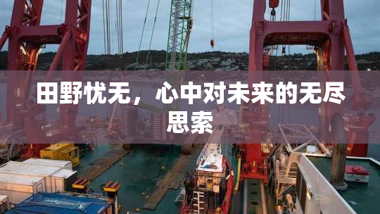 田野忧无，心中对未来的无尽思索