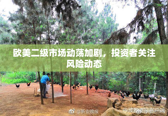 欧美二级市场动荡加剧，投资者关注风险动态