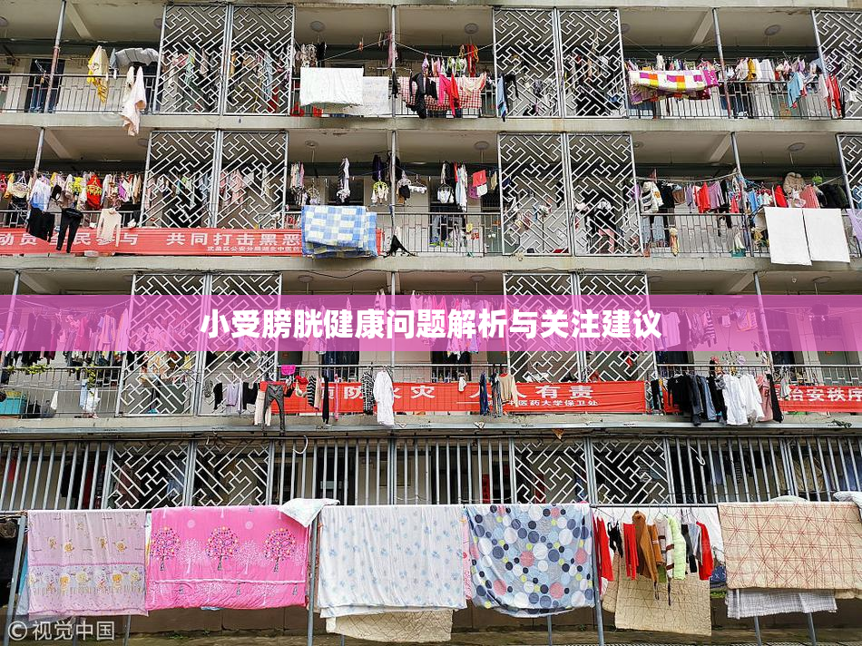 小受膀胱健康问题解析与关注建议