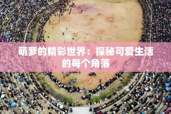 萌萝的精彩世界：探秘可爱生活的每个角落