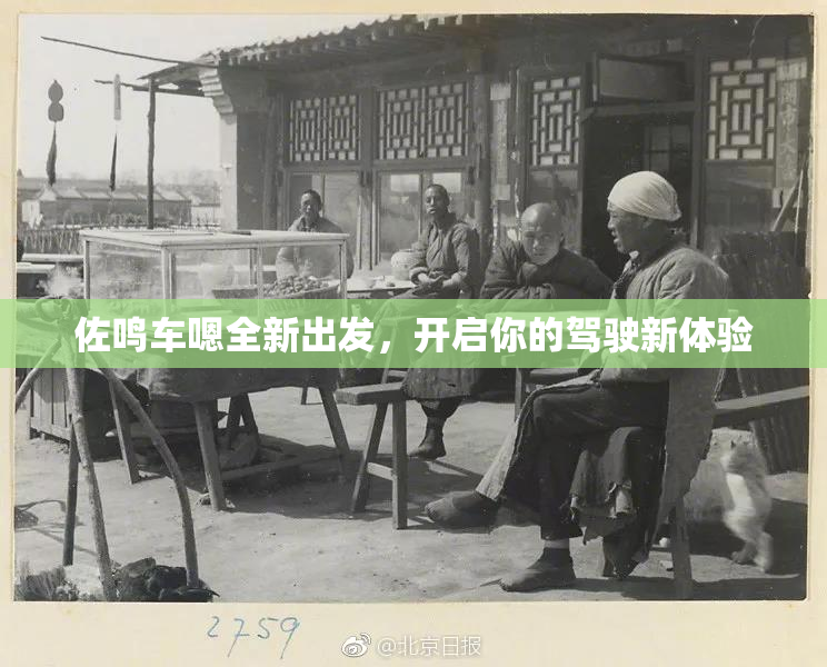 佐鸣车嗯全新出发，开启你的驾驶新体验