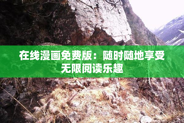 在线漫画免费版：随时随地享受无限阅读乐趣
