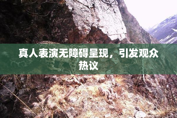 真人表演无障碍呈现，引发观众热议