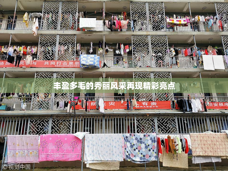 丰盈多毛的秀丽风采再现精彩亮点