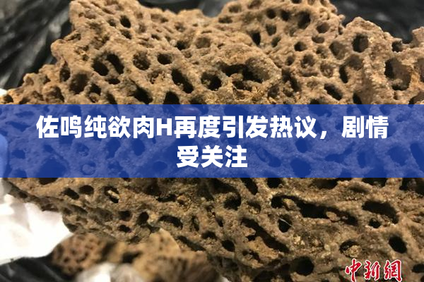 佐鸣纯欲肉H再度引发热议，剧情受关注