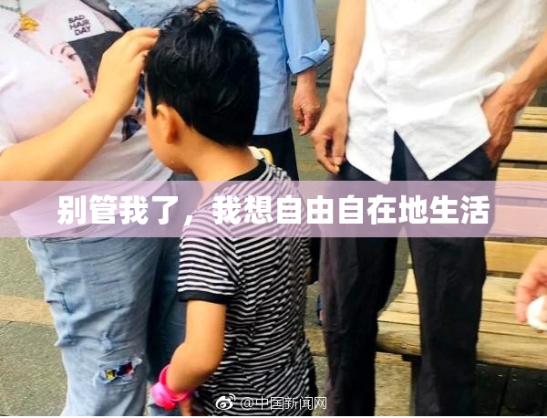 别管我了，我想自由自在地生活