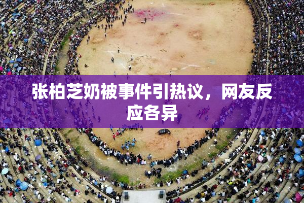 张柏芝奶被事件引热议，网友反应各异