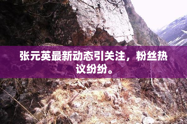 张元英最新动态引关注，粉丝热议纷纷。