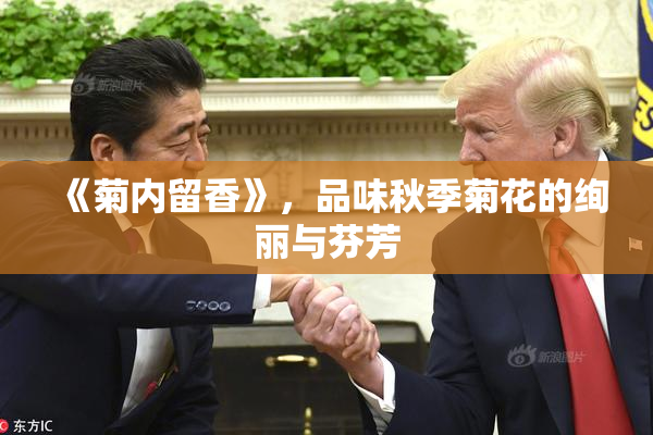 《菊内留香》，品味秋季菊花的绚丽与芬芳