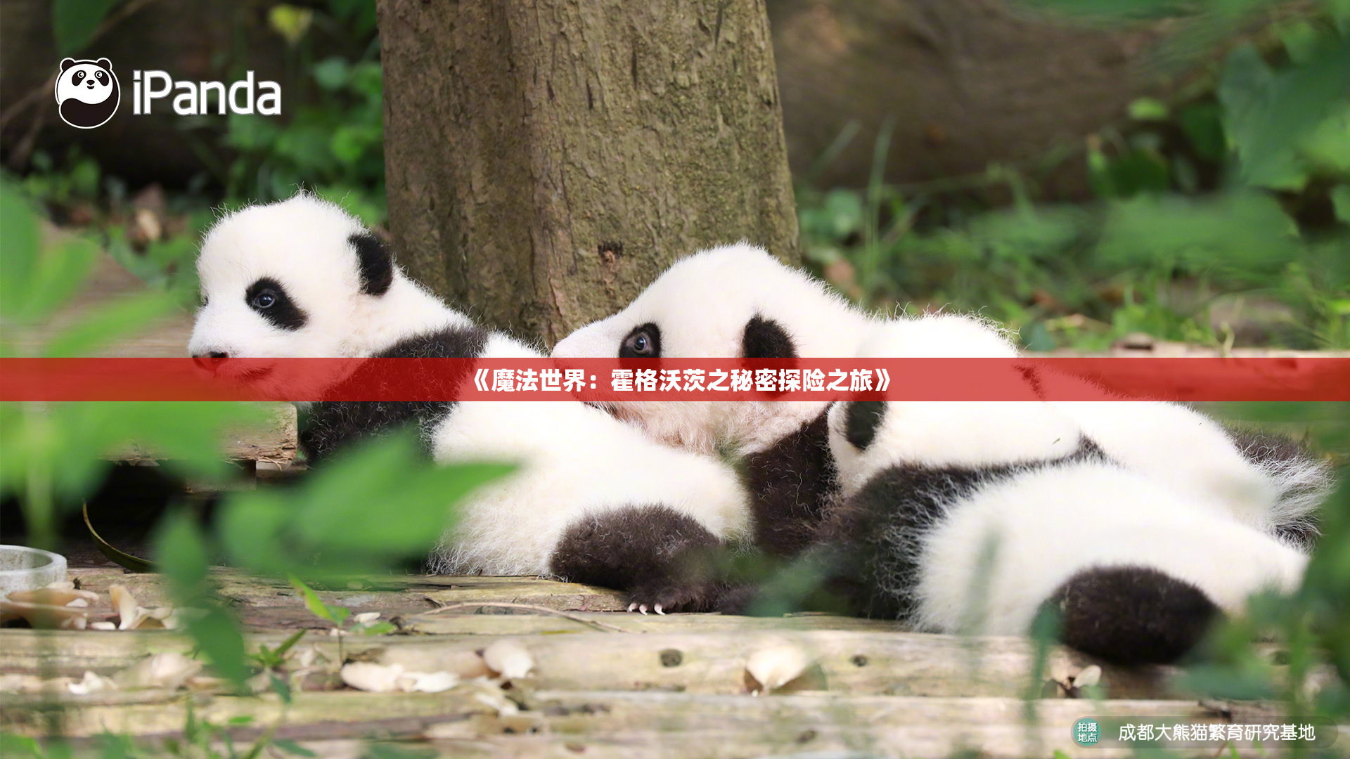 《魔法世界：霍格沃茨之秘密探险之旅》