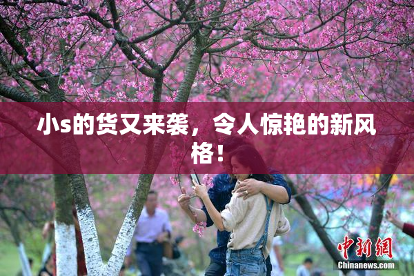 小s的货又来袭，令人惊艳的新风格！
