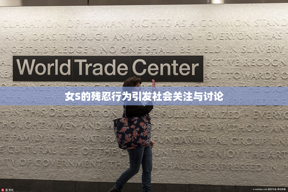 女S的残忍行为引发社会关注与讨论