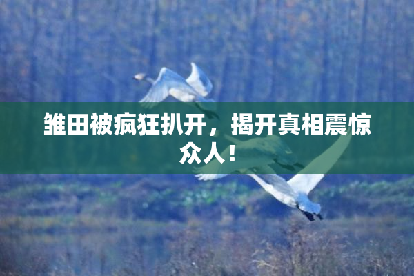雏田被疯狂扒开，揭开真相震惊众人！