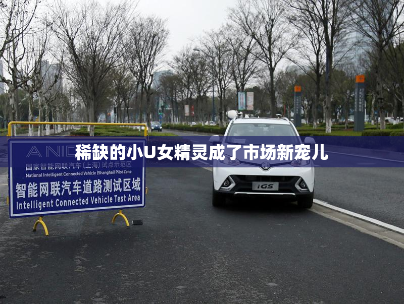稀缺的小U女精灵成了市场新宠儿
