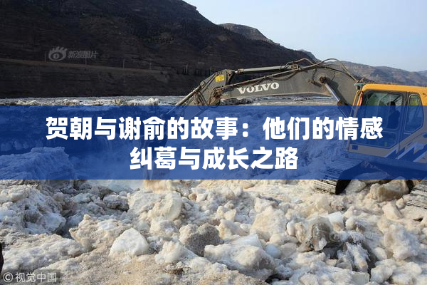 贺朝与谢俞的故事：他们的情感纠葛与成长之路