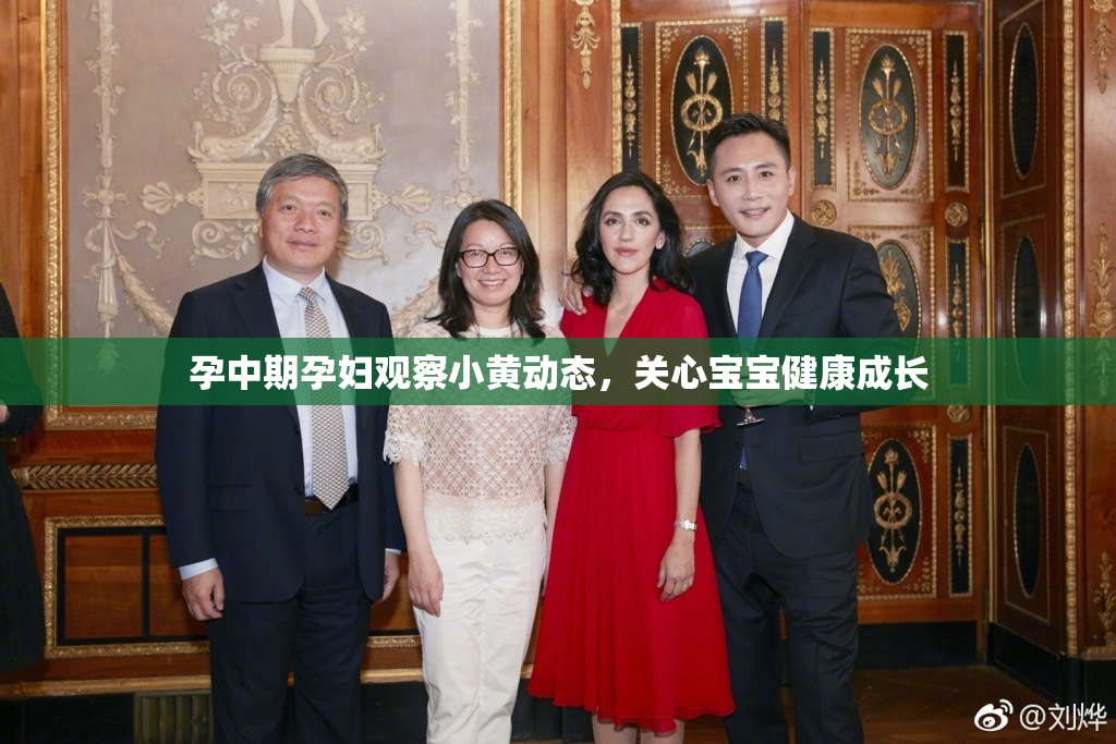 孕中期孕妇观察小黄动态，关心宝宝健康成长