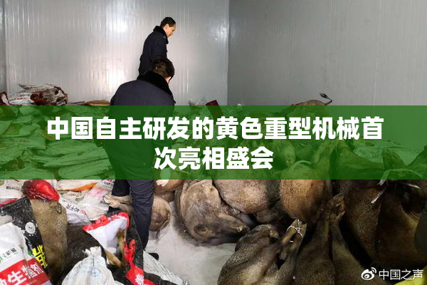 中国自主研发的黄色重型机械首次亮相盛会