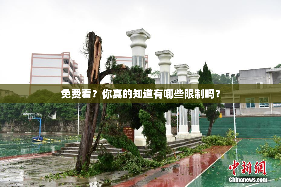 免费看？你真的知道有哪些限制吗？