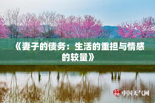 《妻子的债务：生活的重担与情感的较量》