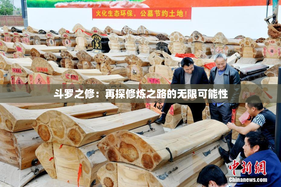 斗罗之修：再探修炼之路的无限可能性