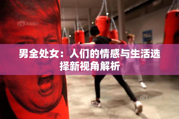 男全处女：人们的情感与生活选择新视角解析