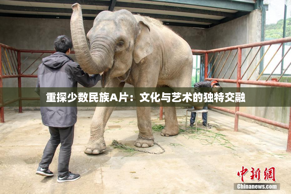 重探少数民族A片：文化与艺术的独特交融