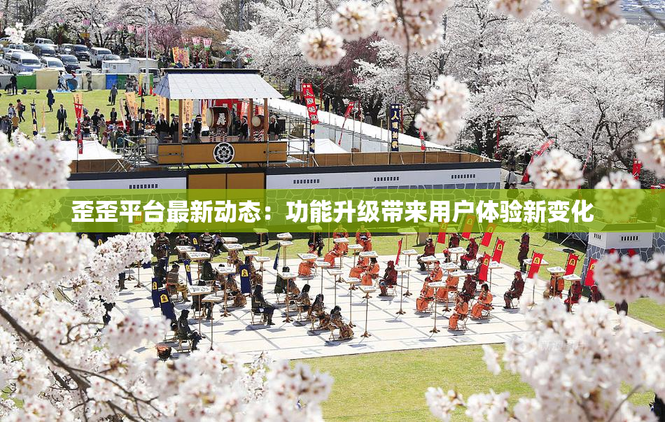 歪歪平台最新动态：功能升级带来用户体验新变化
