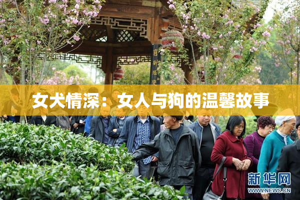 女犬情深：女人与狗的温馨故事