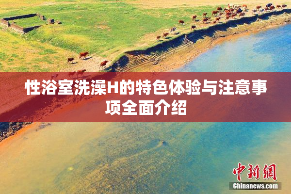 性浴室洗澡H的特色体验与注意事项全面介绍