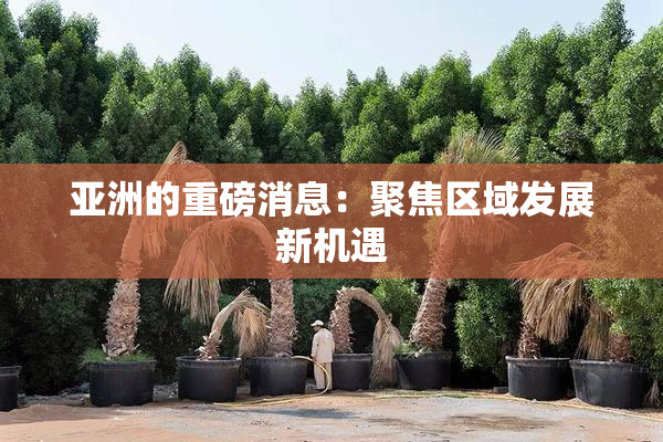 亚洲的重磅消息：聚焦区域发展新机遇