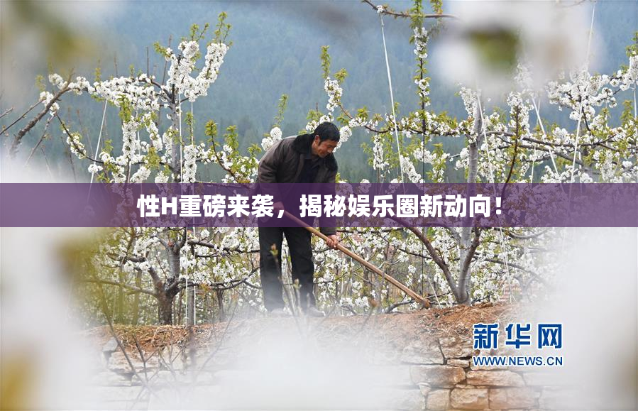 性H重磅来袭，揭秘娱乐圈新动向！