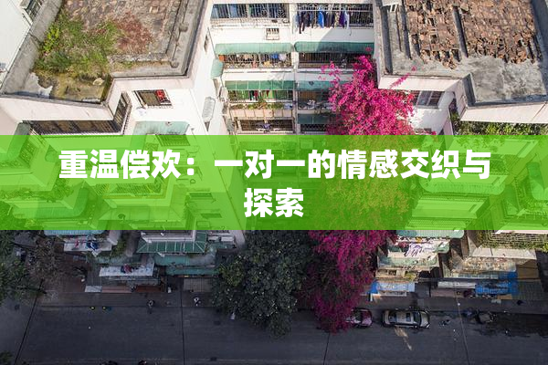 重温偿欢：一对一的情感交织与探索