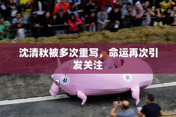 沈清秋被多次重写，命运再次引发关注