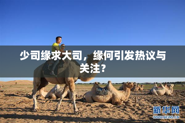 少司缘求大司，缘何引发热议与关注？
