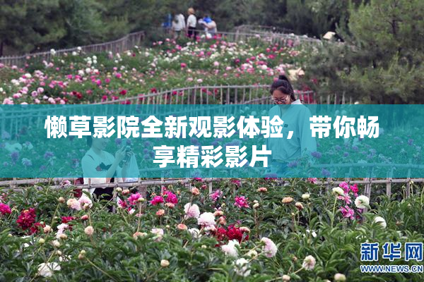 懒草影院全新观影体验，带你畅享精彩影片