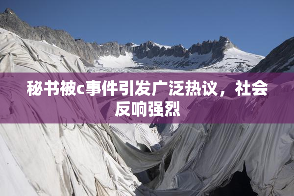 秘书被c事件引发广泛热议，社会反响强烈