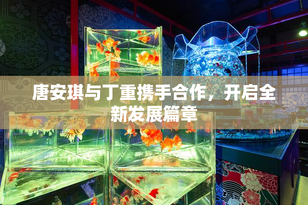 唐安琪与丁重携手合作，开启全新发展篇章