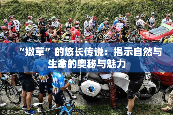 “嫩草”的悠长传说：揭示自然与生命的奥秘与魅力