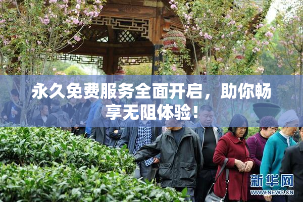 永久免费服务全面开启，助你畅享无阻体验！