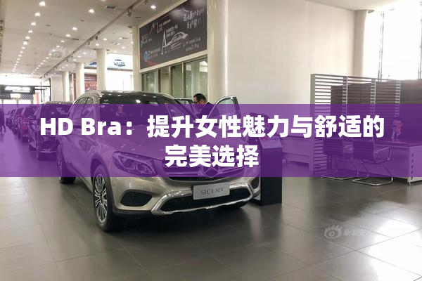 HD Bra：提升女性魅力与舒适的完美选择