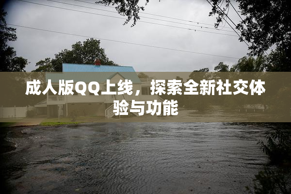 成人版QQ上线，探索全新社交体验与功能