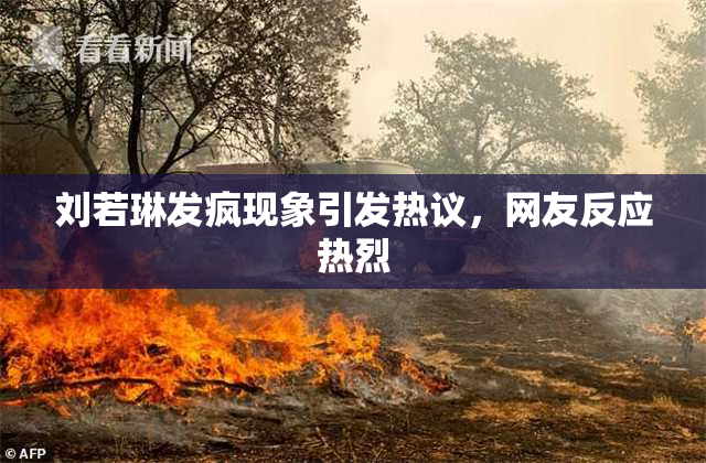刘若琳发疯现象引发热议，网友反应热烈