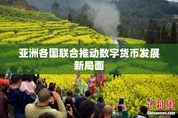 亚洲各国联合推动数字货币发展新局面