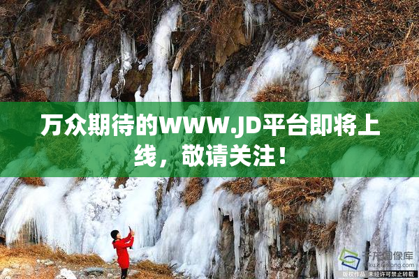 万众期待的WWW.JD平台即将上线，敬请关注！