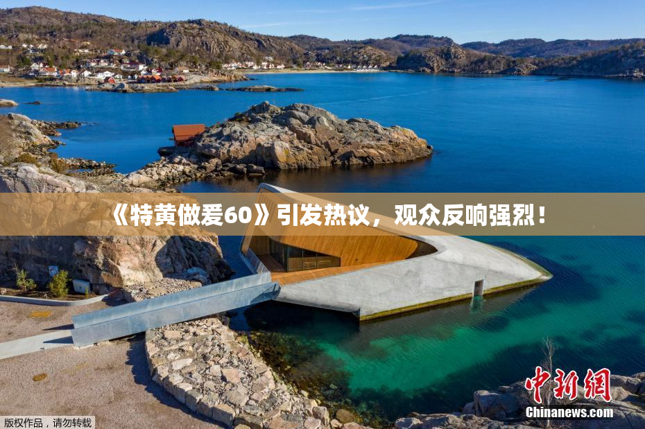 《特黄做爰60》引发热议，观众反响强烈！