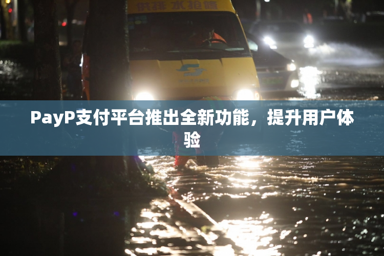 PayP支付平台推出全新功能，提升用户体验