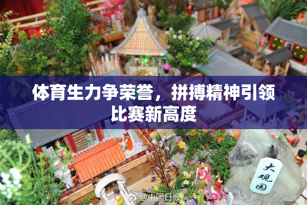 体育生力争荣誉，拼搏精神引领比赛新高度