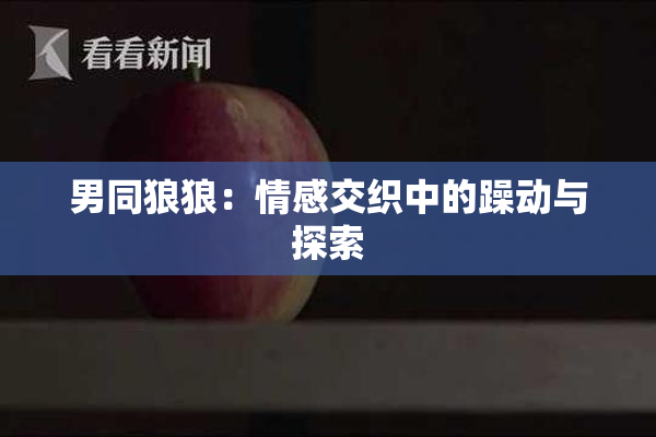 男同狼狼：情感交织中的躁动与探索